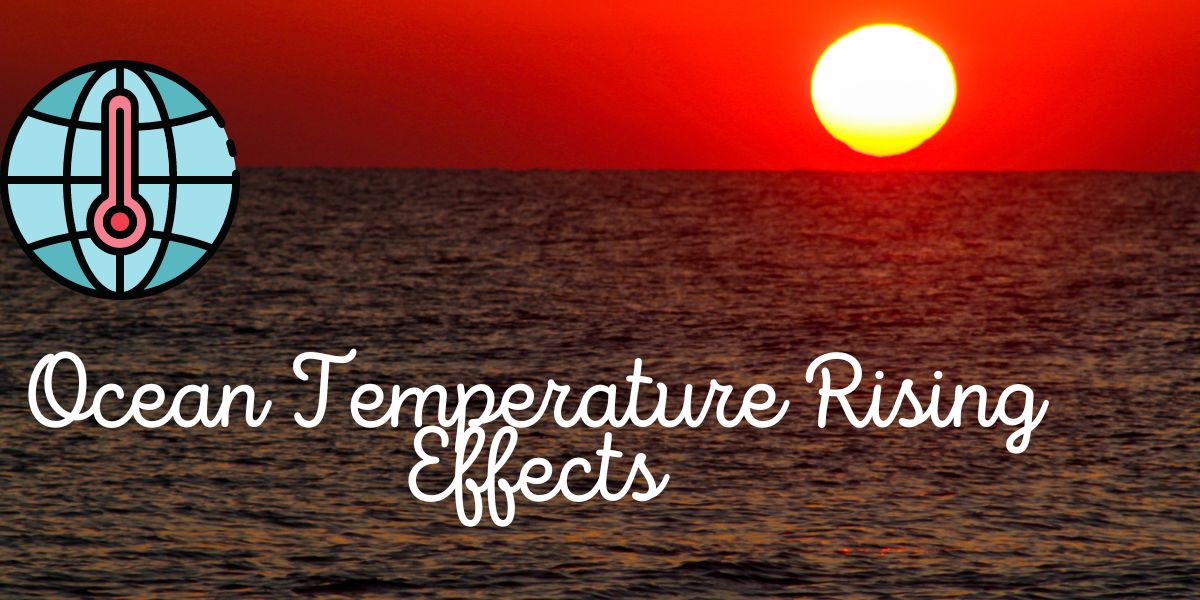 Ocean Temperature Rising Effects