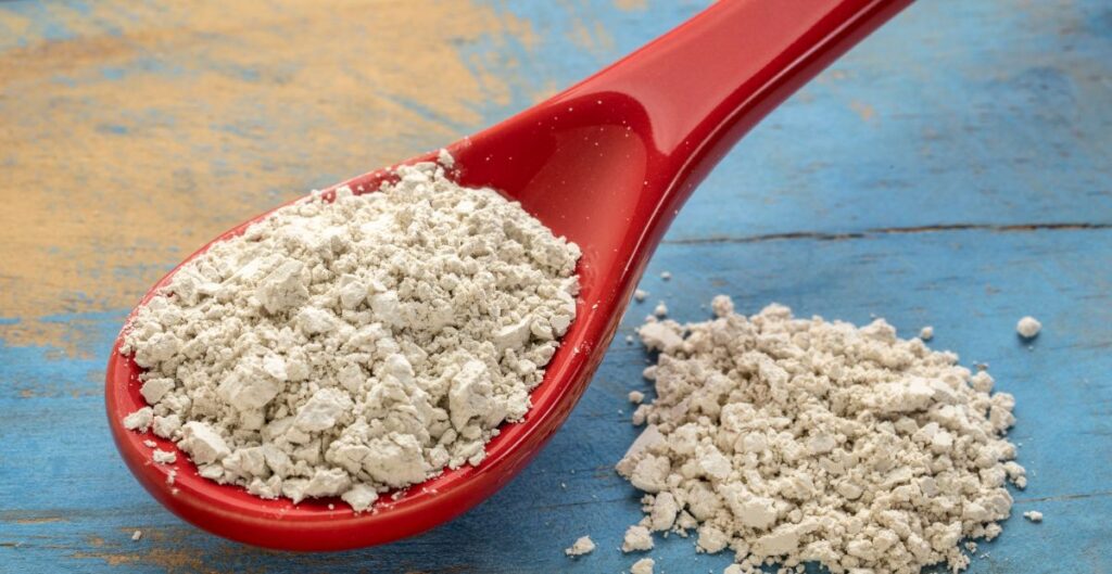 What Is Diatomaceous Earth?