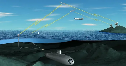 Methods Do Scientists Use to Count Fish in the Ocean?