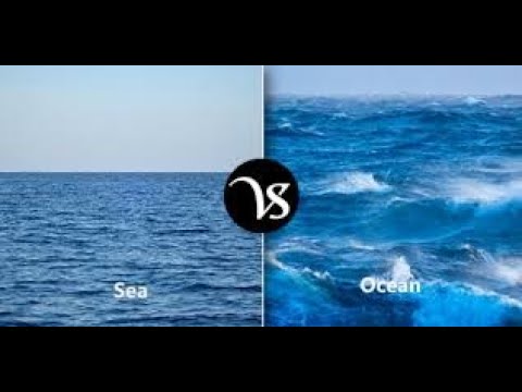 What’s the Difference Between the 7 Seas and the 5 Oceans?